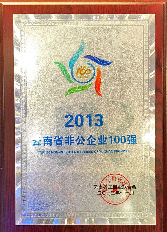 2013云南省非公企業(yè)100強